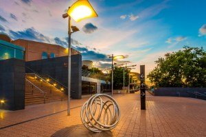 California regulates landscape lighting and energy conservation. CSE landscape architect.